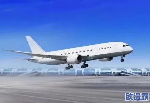 中国东方18_XXXXXL56edu：探讨中国东方航空的发展历程及其在国际航空市场的竞争策略与创新成就